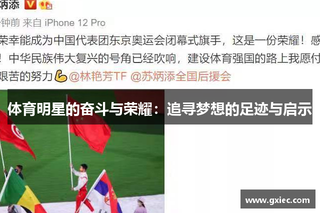 体育明星的奋斗与荣耀：追寻梦想的足迹与启示